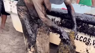 Pescadores de Carmen alertan por derrame en Dos Bocas