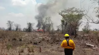 Incendios forestales en Campeche