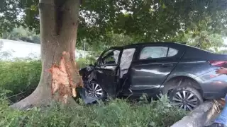 Conductor pierde el control y choca contra un árbol en la vía Puerto Morelos–Playa del Carmen