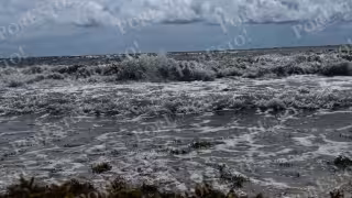 Cierran el puerto a la navegación menor en Playa del Carmen por fuerte oleaje