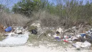 Los desperdicios van a parar a zonas de anidación de flamencos o desove de tortugas marinas