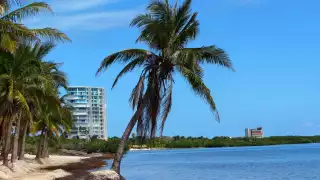 La quinta opción te hipnotizara