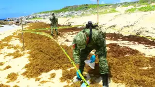 En los últimos días han asegurado 13 kilos de la droga