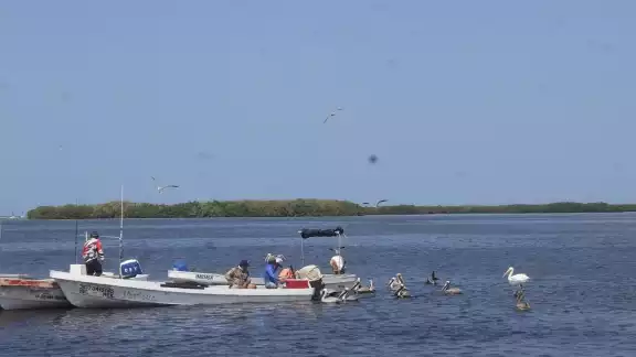 Ha aumentado la pesca ilegal este 2024 en Yucatán