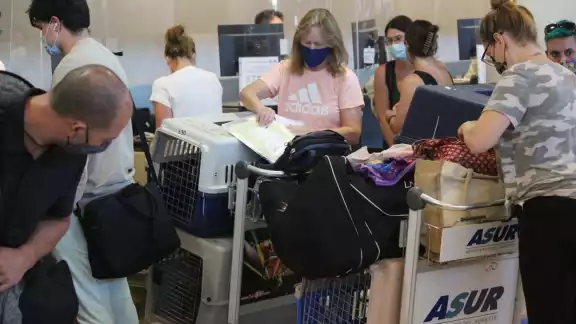 Las turistas canadienses tiene una fundación de rescate de perritos en Isla Mujeres, Playa del Carmen y Mahahual Las turistas canadienses tiene una fundación de rescate de perritos en Isla Mujeres, Playa del Carmen y Mahahual