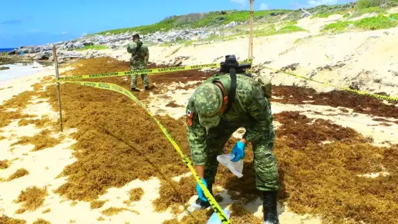 En los últimos días han asegurado 13 kilos de la droga En los últimos días han asegurado 13 kilos de la droga