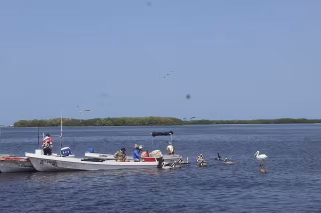 Ha aumentado la pesca ilegal este 2024 en Yucatán