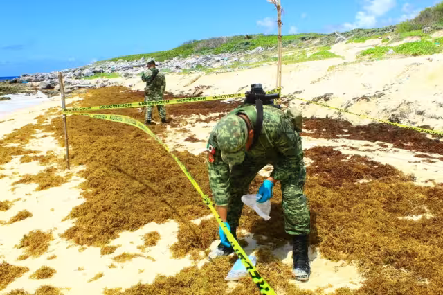 En los últimos días han asegurado 13 kilos de la droga