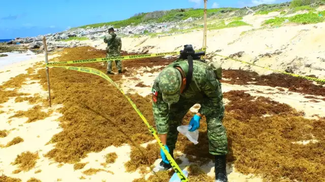 En los últimos días han asegurado 13 kilos de la droga