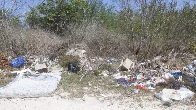 Los desperdicios van a parar a zonas de anidación de flamencos o desove de tortugas marinas