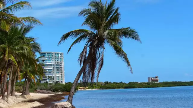 La quinta opción te hipnotizara