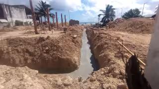 Profepa clausura construcción en Mahahual por daño de manglar y falta de permisos ambientales