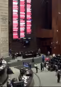 Diputados aprueban reforma sobre doble nacionalidad con 344 votos a favor