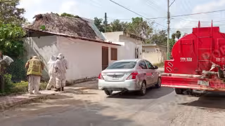 Ataque de abejas africanas en colonia Centro moviliza a cuerpos de emergencia de Lázaro Cárdenas