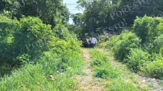 Madres buscadoras realizan operativo para localizar personas desaparecidas en Felipe Carrillo Puerto
