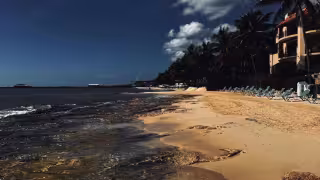 Disminuye el sargazo en Playa del Carmen, pero persiste la pérdida de arena