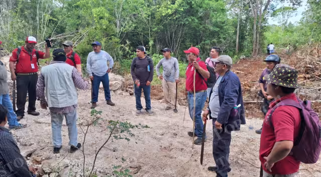 Buscan a abuelito extraviado en la selva de Felipe Carrillo Puerto; salió acompañado de su perro