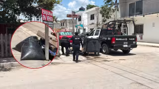 Falsa alarma en Mayapax: Bolsas con vísceras y pollo movilizan a autoridades por sospecha de restos humanos