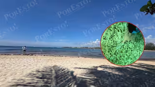 Detectan sedimentos con presunto olor a aguas negras frente a Playa 88 en Playa del Carmen