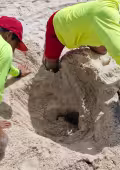 Tortuga marina deja 125 huevos en el Malecón Internacional de Progreso
