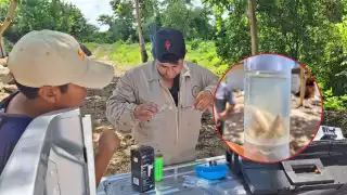 La asociación local pidió a los productores reportar cualquier sospecha de gusano barrenador a fin de tener un control efectivo y la erradicación de la plaga en la zona