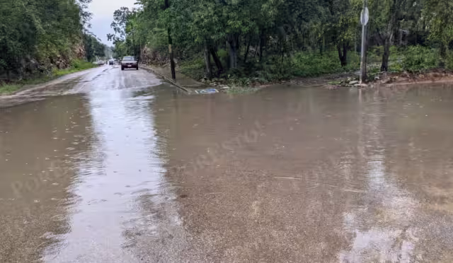 Colonias como Madrazo, Vicente Guerrero y Morelos resultaron entre las más afectadas