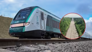 Oficializan expropiación de tierras ejidales en El Cafetal para obras del Tren Maya