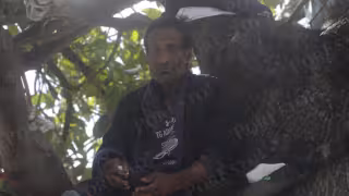 “La vida me dio una cachetada y acabé así”: Demetrio sobrevive en los árboles de Cancún tras el abandono de su familia