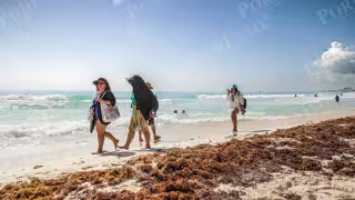 Restringen el ingreso a nueve playas de Cancún, ¿cuáles son?