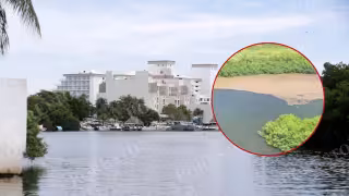Sargazo invade la Laguna Nichupté; difunden video de acumulación en el manglar