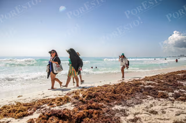 Los arenales Delfines, Ballenas, Marlín, Chac Mool, Gaviota Azul, Langosta, Tortugas, Pez Volador y Caracol lucieron banderas rojas, por el alga marina