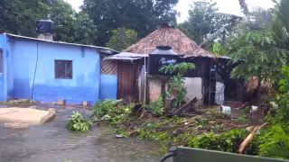 Dengue aumenta en Quintana Roo: 124 casos