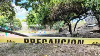 Macabro hallazgo en Cancún: Encuentran restos humanos dentro de un carrito de supermercado