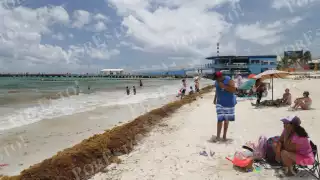Sargazo en Quintana Roo: Estas son las playas con poca macroalga hoy 14 de enero