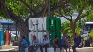 Al día, 15 migrantes de 18 países llegan a Cancún; revela Cisvac