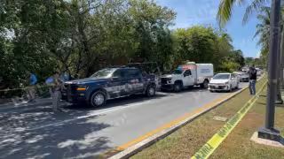 Hallan cuerpo sin vida en zona de manglar de la Zona Hotelera de Cancún