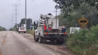 Árbol cae sobre red eléctrica y deja sin luz a habitantes de Petcacab en Felipe Carrillo Puerto
