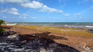 Lluvias benefician a pescadores de María Elena y Punta Herrero ante falta de agua