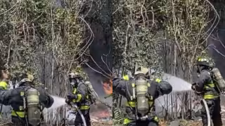 Incendio de maleza alarma a vecinos en la colonia Ejidal de Playa del Carmen