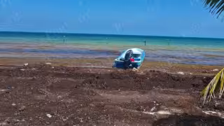 María Elena en Felipe Carrillo Puerto enfrenta falta de agua y problemas por acumulación de sargazo