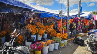 Mercado 23 de Cancún registra alta afluencia de compradores por preparativos del Día de Muertos