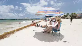 Desplegarán 500 metros adicionales de barreras anti sargazo en costas de Quintana Roo