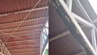 Deterioro de techos de una escuela primaria genera preocupación en Playa del Carmen