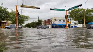 Caída de un árbol e inundaciones: Reportan afectaciones por las fuertes lluvias en distintas zonas de Cancún