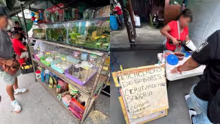 Alcohol y venta de animales persisten en el tianguis de la Región 100 de Cancún pese a operativos
