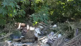 Basurero clandestino en la SM 77 de Cancún causa contaminación en áreas verdes