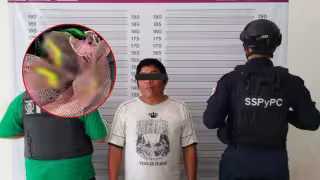 Detienen a un hombre por posesión ilegal de tres tucanes en Tulum