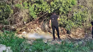 Hallan sin vida a una mujer en un camino de terracería de la Supermanzana 201 de Cancún