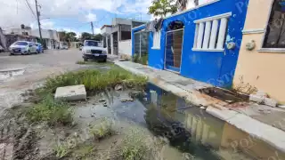 Vecinos de “La Selva” denuncian 15 años de aguas negras y abandono de autoridades en Cancún