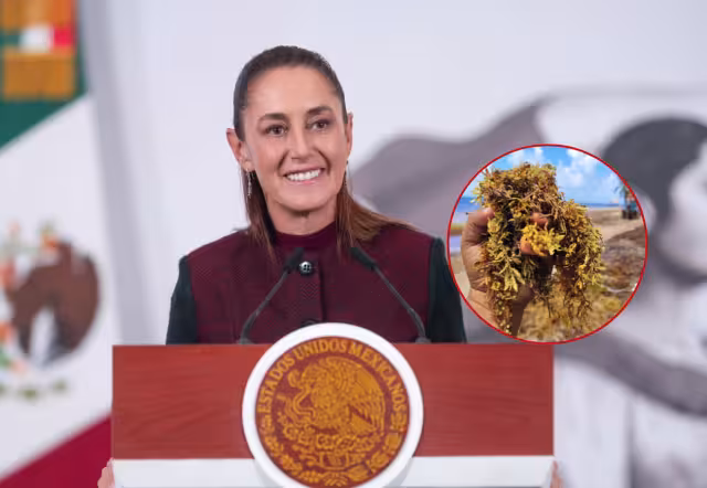 Semar reporta más de 10 mil toneladas en la región y una mancha de 280 mil toneladas avanzando hacia el Caribe Mexicano